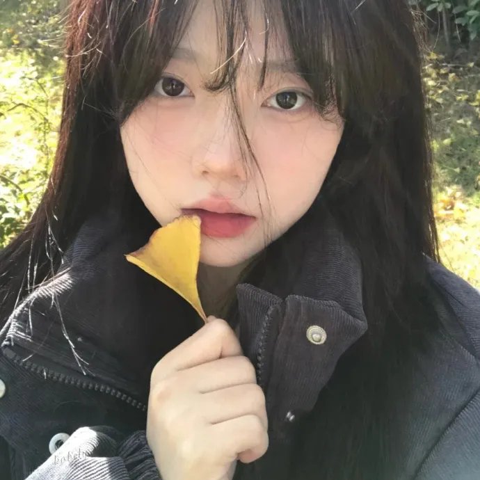 明星间谍